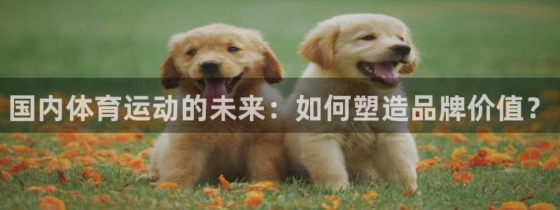 3377体育官方正版app娱乐网站:国内体育运动的未来:如何